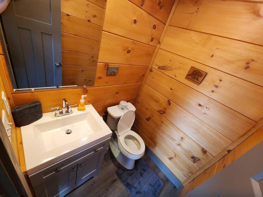 Dancing Bear Cabin- Relax & Enjoy! Sevierville Bagian luar foto