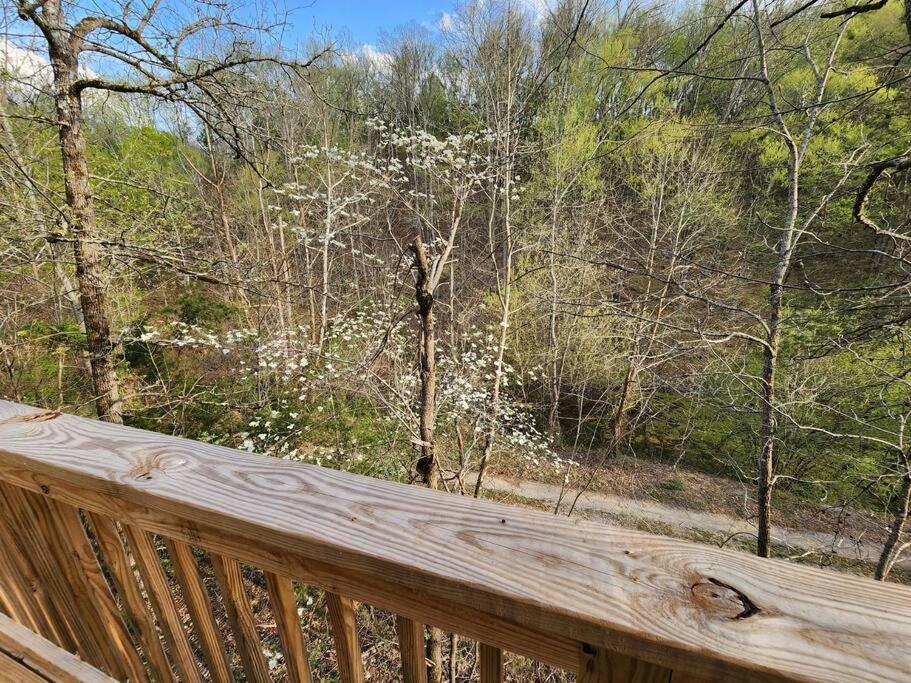 Dancing Bear Cabin- Relax & Enjoy! Sevierville Bagian luar foto