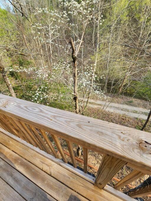Dancing Bear Cabin- Relax & Enjoy! Sevierville Bagian luar foto